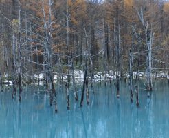 冬を迎えた青い池
