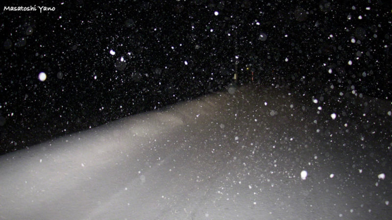 美瑛町で遭遇した吹雪