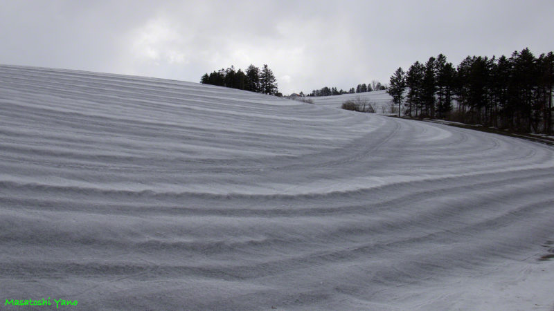 美瑛町の丘に融雪材がまかれて、春の畑仕事の準備をしている写真