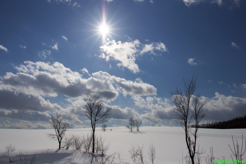 太陽と瑠辺蘂の雪原