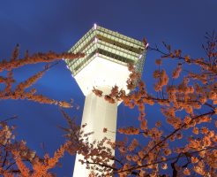 函館ライトアップされた五稜郭タワーと桜