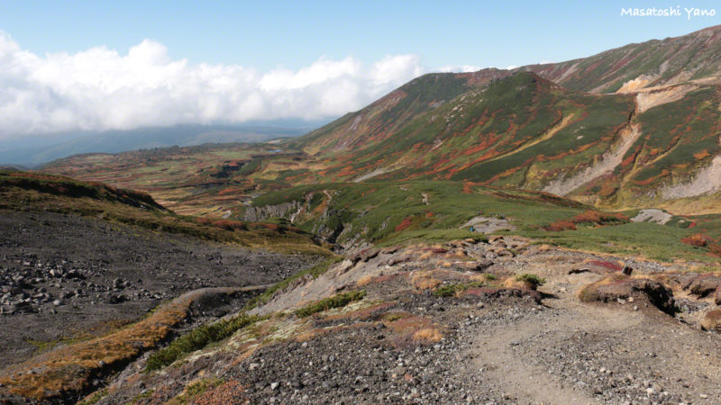 旭岳周遊コース山道