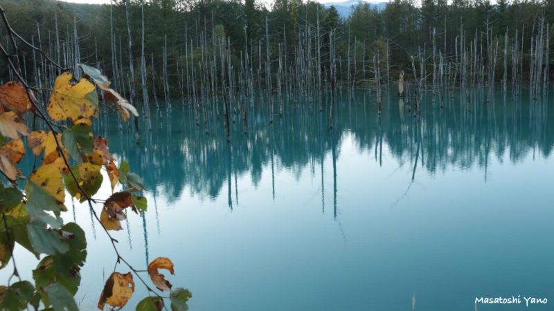 10月紅葉前の青い池