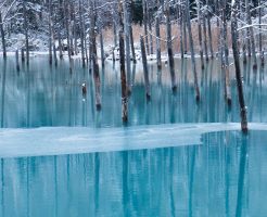 凍り始めた青い池
