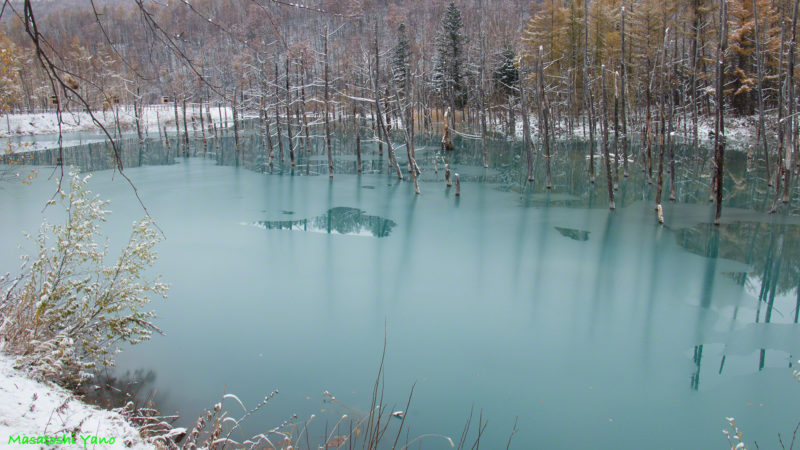 凍った青い池