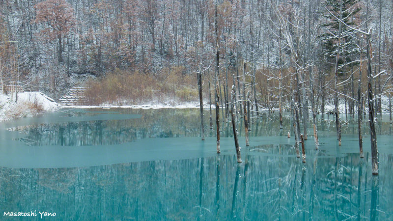 凍った青い池
