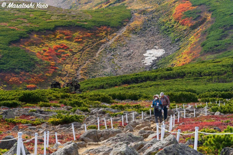 緑岳の急斜面の紅葉