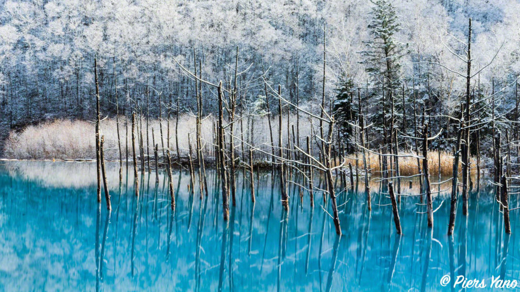 【2018年】青い池の初雪！突如おとずれる雪景色はとてもキレイでした。