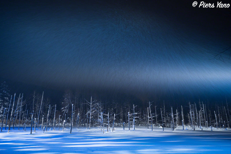 大雪の日の青い池ライトアップ