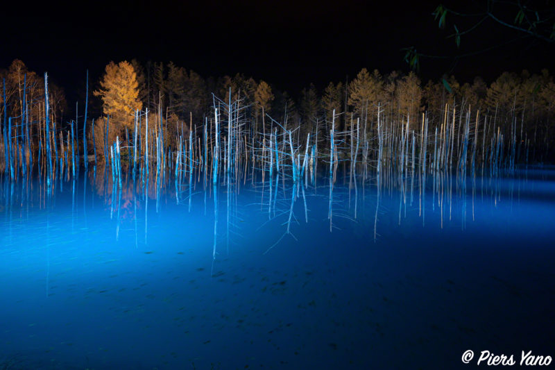 19年ｰ年 青い池のライトアップは写真を撮っていてエキサイティングで楽しい