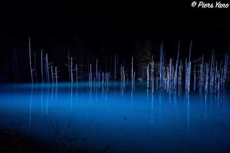 青い池のライトアップｰ静寂
