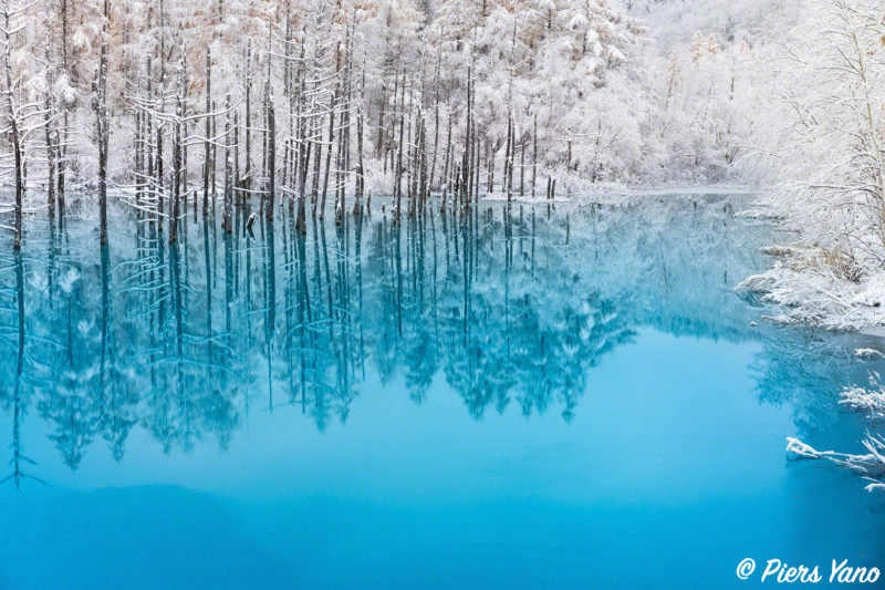 青い池の雪景色